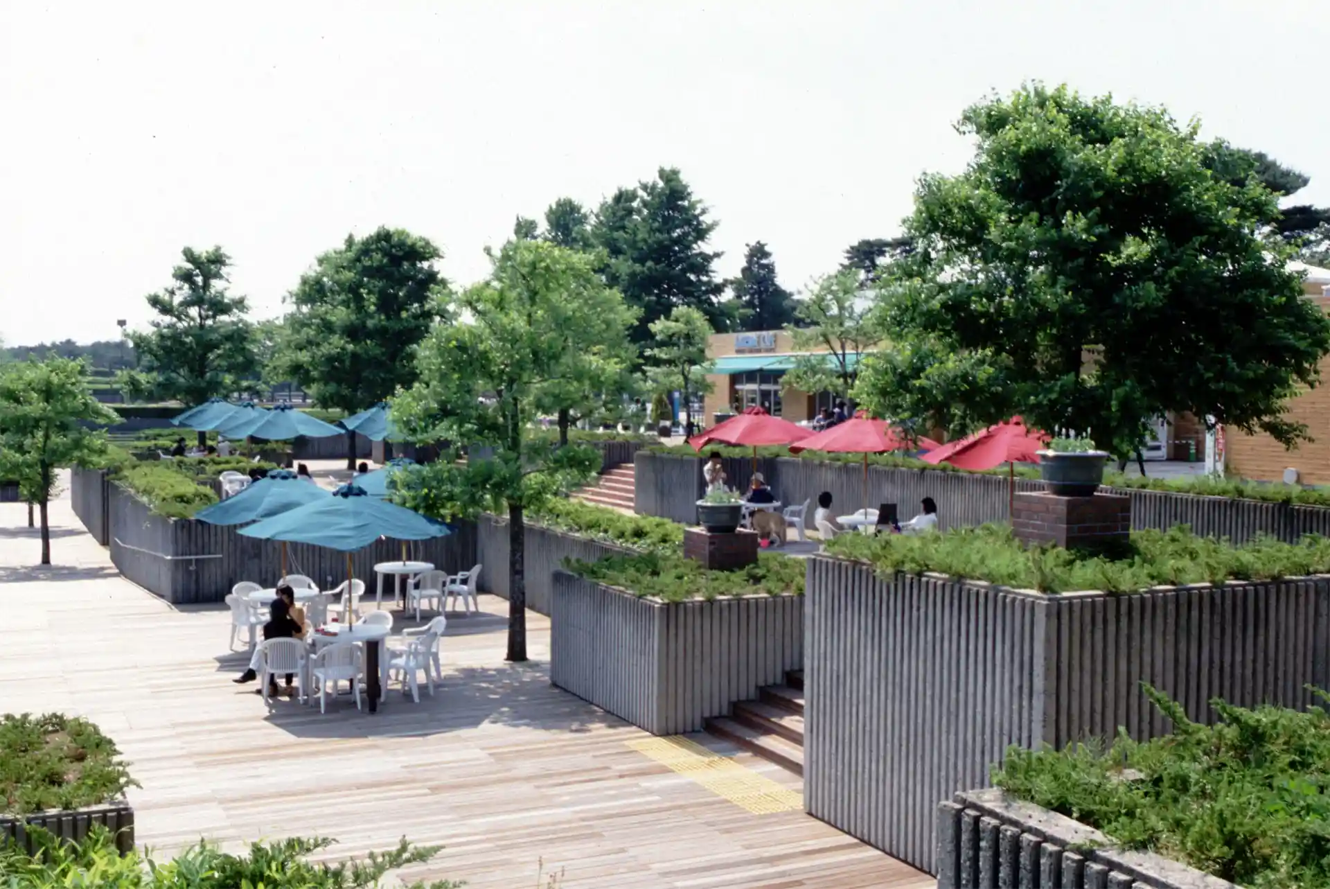 Hitachi Seaside Park | PROJECTS | Design and Management Inc.