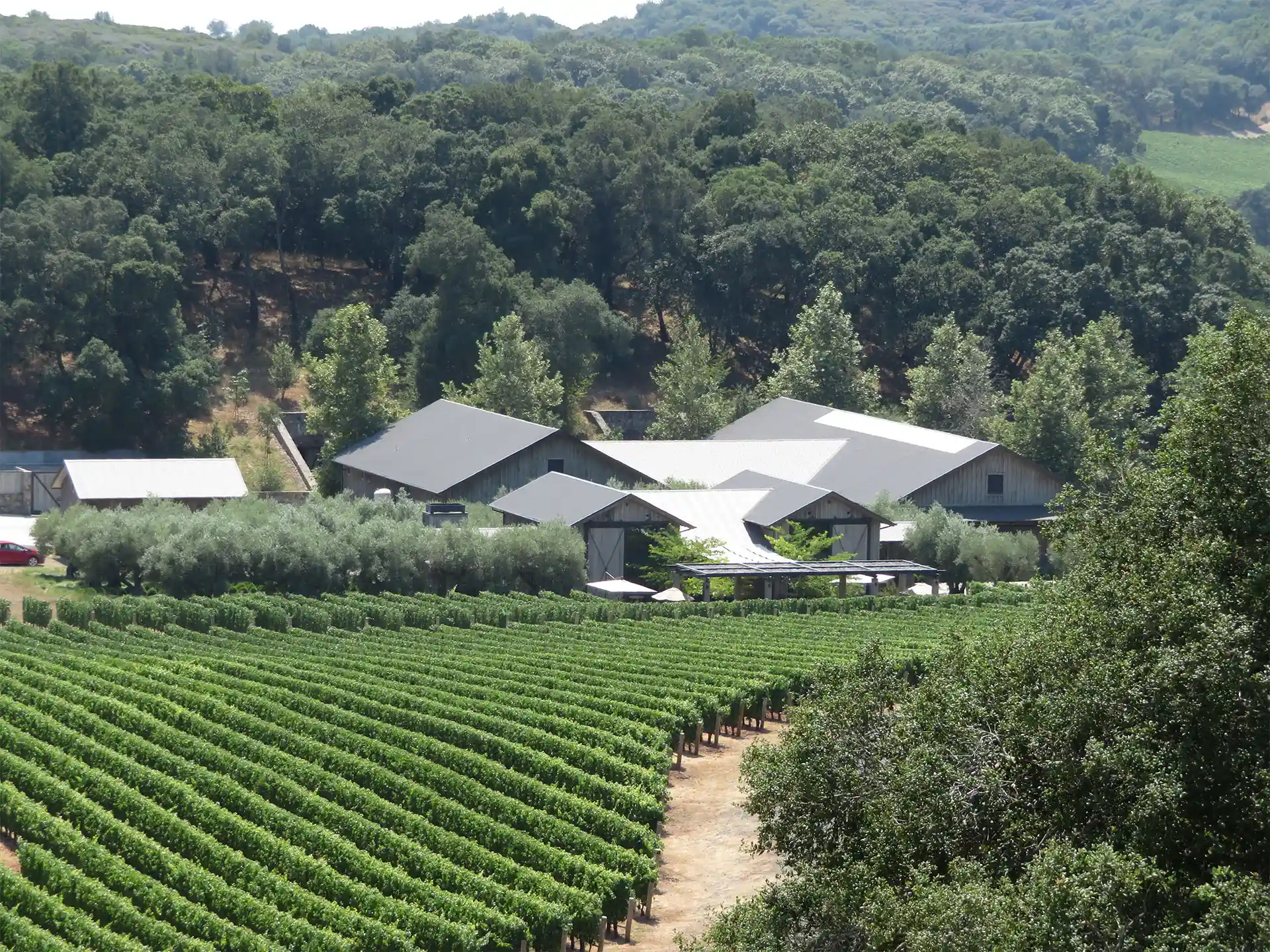 KENZO ESTATE | PROJECTS | Design and Management Inc.